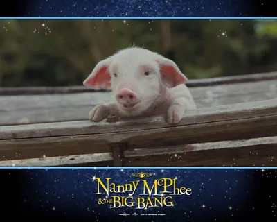 Обои 1280 на 1024 к фильму Моя ужасная няня 2 | Nanny McPhee and the Big  Bang #11120 | KINOMANIA.RU картинки