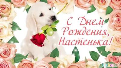 Настя с днем рождения [62 картинки] картинки