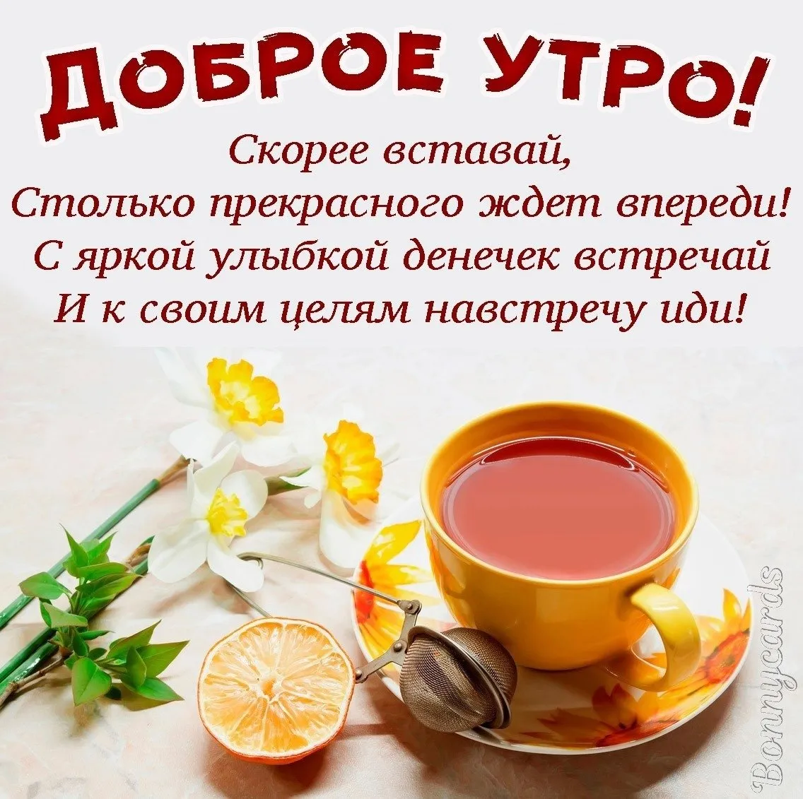 Пожелания с добрым утром красивые в картинках мудрые