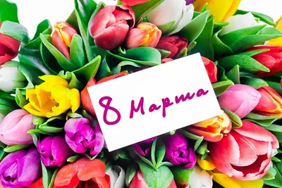 С 8 марта прикольные картинка #392405 - Поздравления с 8 марта - открытки,  стихи и проза - 40 картинок - скачать картинки