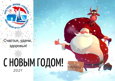 С НОВЫМ ГОДОМ!!! | МБУДО СШОР №14 \ картинки