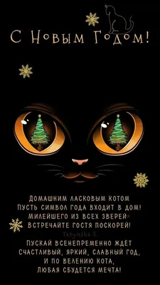 Пин от пользователя Kim Barckowich на доске Открытки | Новогодние  пожелания, С новым годом, Смешные поздравительные открытки картинки