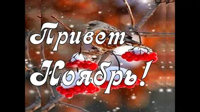 Привет Ноябрь! Желаю Тебе Счастливого и Яркого Ноября!😘🌷 Музыкальная  открытка - YouTube картинки