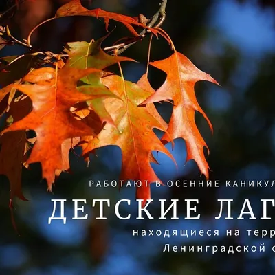 А.Цой рассказал о санитарно-эпидемиологической обстановке и порядке  массовой вакцинации в РК картинки