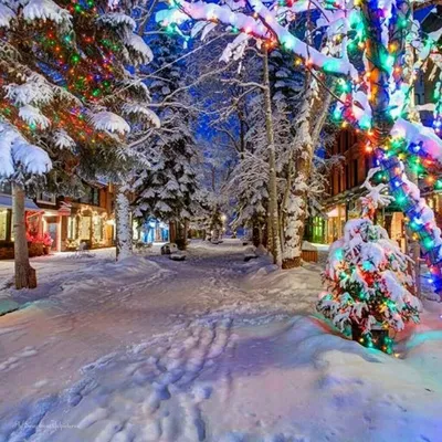 Сказочная зима | Colorado christmas, Beautiful christmas, Christmas tree  outside картинки