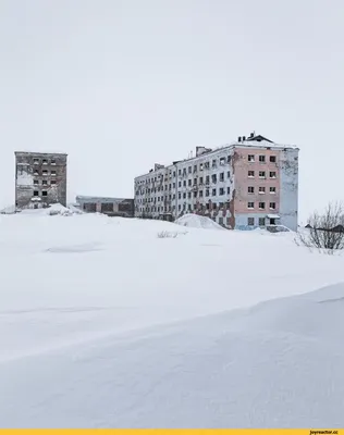 отпуск зима / смешные картинки и другие приколы: комиксы, гиф анимация,  видео, лучший интеллектуальный юмор. картинки