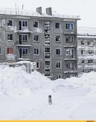 отпуск зима / смешные картинки и другие приколы: комиксы, гиф анимация,  видео, лучший интеллектуальный юмор. картинки