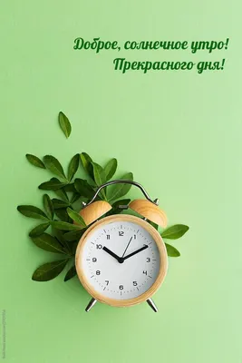 Картинки с надписями. Доброе, солнечное утро! Прекрасного дня!. картинки