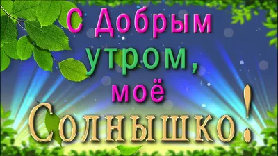 ☀️С Добрым утром, моё Солнышко! ☀️Красивая анимационная открытка - YouTube картинки