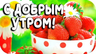 С добрым утром! Красивое пожелание с веселой бодрящей песней для вас, мои  дорогие друзья! - YouTube картинки