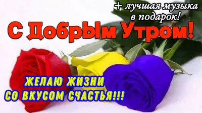 🌷🌹🌷 С ДОБРЫМ УТРОМ!🌹🌼🌹ЗАМЕЧАТЕЛЬНОЕ ПОЖЕЛАНИЕ ДЛЯ ВАС 💖💖💖 С ОЧЕНЬ  КРАСИВОЙ МУЗЫКОЙ! 🎷🎷🎷 - YouTube картинки