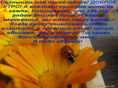 С ДОБРЫМ УТРОМ от солнышко - слушать онлайн и смотреть видеоклип, быстро и  удобно скачать в mp3 на dm-dobrov.ru картинки