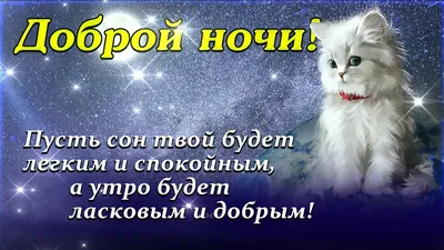 Спокойной Ночи! Сладких снов! / Красивое пожелание СПОКОЙНОЙ НОЧИ! - YouTube картинки