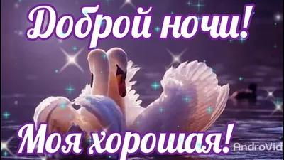 ДОБРОЙ НОЧИ! Моя хорошая! Красивое Пожелание доброй ночи Видео открытка  доброй ночи - YouTube картинки