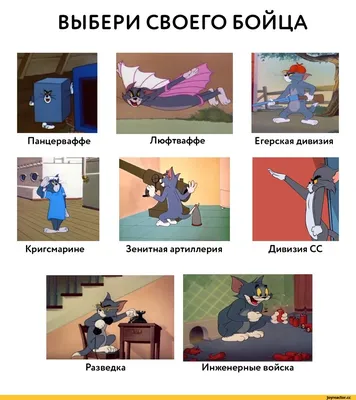 том и джери (Tom and Jerry, Tom \u0026 Jerry) / смешные картинки и другие  приколы: комиксы, гиф анимация, видео, лучший интеллектуальный юмор. картинки