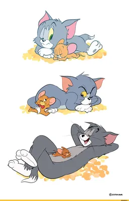 Том и Джерри (Tom and Jerry, Tom \u0026 Jerry) :: Мультфильмы / смешные картинки  и другие приколы: комиксы, гиф анимация, видео, лучший интеллектуальный  юмор. картинки