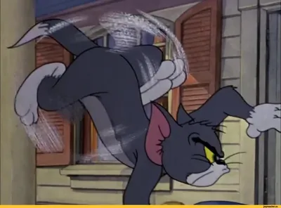 том и джери (Tom and Jerry, Tom \u0026 Jerry) / смешные картинки и другие  приколы: комиксы, гиф анимация, видео, лучший интеллектуальный юмор. картинки