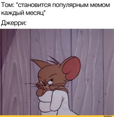 Том: Становится популярным мемом каждый месяц* Джерри: / Tom \u0026 Jerry ::  Мультфильмы / смешные картинки и другие приколы: комиксы, гиф анимация,  видео, лучший интеллектуальный юмор. картинки