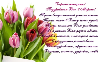 Обои тюльпаны, 8 марта, tulips, поздравление, spring, женский день картинки  на рабочий стол, раздел праздники - скачать картинки