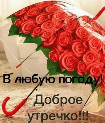 Kristina on Twitter: \ картинки