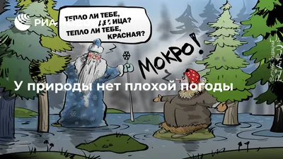У природы нет плохой погоды - РИА Новости, 19.02.2020 картинки
