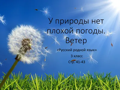 Презентация учебная \ картинки
