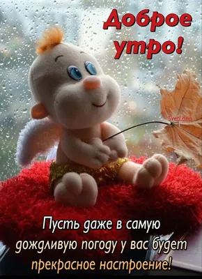 Идеи на тему «У природы нет плохой погоды» (30) в 2023 г | доброе утро,  открытки, счастливые картинки картинки
