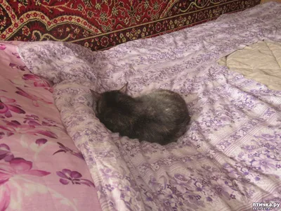 У природы нет плохой погоды — обсуждение в группе \ картинки