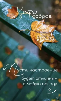 Идеи на тему «У природы нет плохой погоды» (30) в 2023 г | доброе утро,  открытки, счастливые картинки картинки