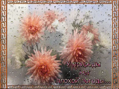 Нет плохой погоды ⋆ Открытки анимация картинки