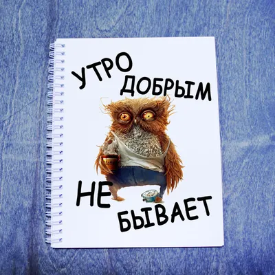 Тетрадь в клетку A5 (2шт.), 48 листов, утро добрым не бывает — купить в  интернет-магазине OZON с быстрой доставкой картинки