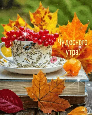 Картинки с надписями. Чудесного утра!. картинки