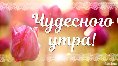 Чудесного утра картинки