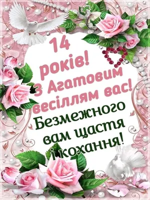 14 лет свадьба поздравления — поздравление к агатовой свадьбе — Таракан:  отзывы о заведениях вашего города картинки