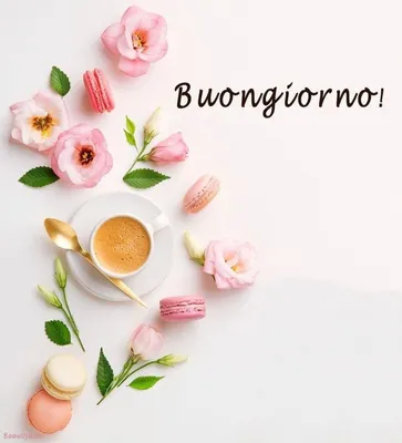 Buongiorno immagini (11) - BuongiornoATe.it | Buongiorno, Buongiorno  immagini, Buongiorno caffè картинки