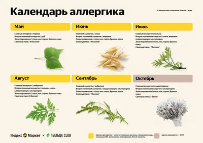 7 неочевидных симптомов аллергии, которые могут проявляться круглый год -  Лайфхакер картинки