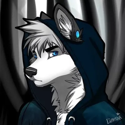 Pin on Furry картинки