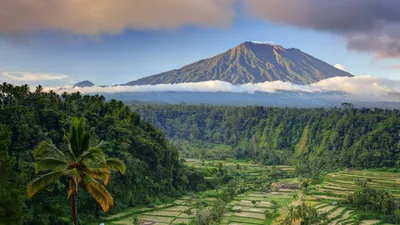 Обои Бали, пальмы, деревья, поле, гора, облака, Bali, palms, trees, field,  mountain, clouds, 5k, Природа #16295 картинки