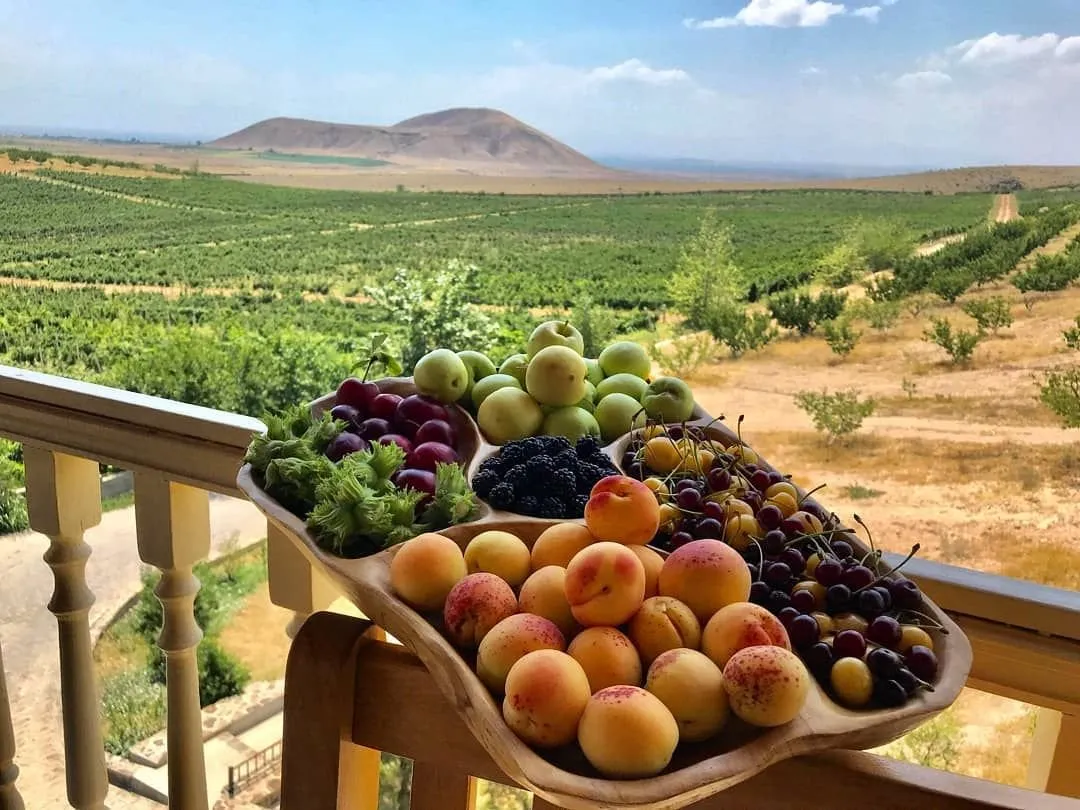 Бари луйс картинки