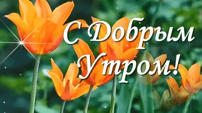 С добрым весенним утром!🌷☀️Солнечного дня! Красивая музыкальная открытка!  - YouTube картинки