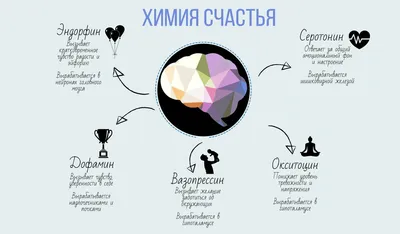 Как избежать стресса? И что такое гормоны счастья? | КРАСИВЫЕ НОВОСТИ /  Nina Chili | Дзен картинки