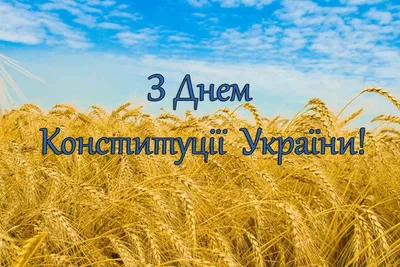 День Конституции Украины 2022 – лучшие поздравления, картинки, открытки и  видео картинки