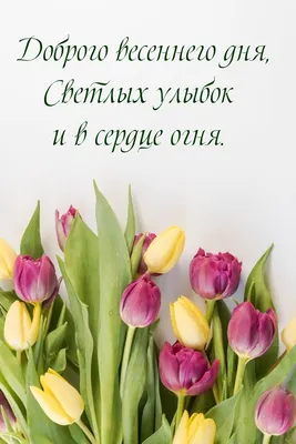 Картинки с надписями. Доброго весеннего дня, светлых улыбок и в сердце  огня.. картинки