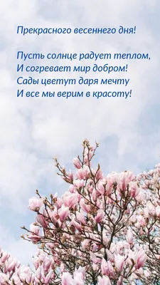 Картинка: Прекрасного весеннего дня! Пусть солнце радует теплом картинки