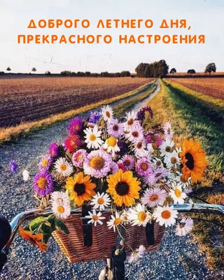 Картинка - Доброго летнего дня, Прекрасного настроения. картинки