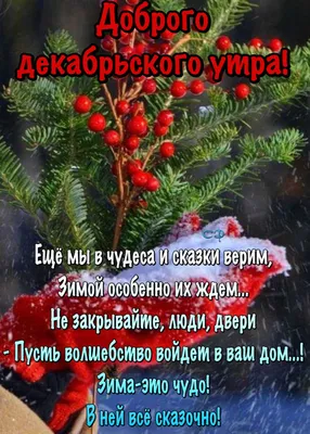 Пин от пользователя Светлана на доске Доброе утро | Доброе утро, Декабрь,  Милые открытки картинки