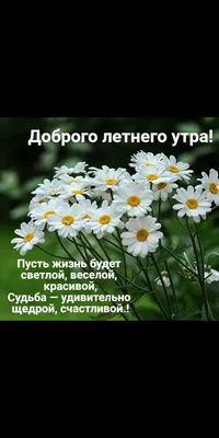 Пин от пользователя Анна на доске Доброе утро | Зимнее искусство, Доброе  утро, Интересные факты картинки