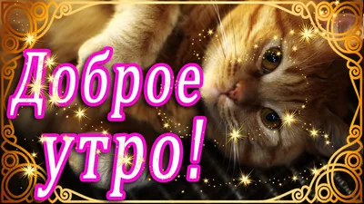 🌞 ДОБРОГО УТРА / ДОБРОЕ УТРО / С ДОБРЫМ УТРОМ / ДОБРОГО УТРА ЛЮБИМОЙ /  ДОБРОЕ УТРО КАРТИНКИ - YouTube картинки