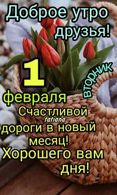 Идеи на тему «Февраль» (120) в 2023 г | февраль, открытки, доброе утро картинки