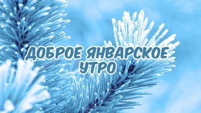 Картинка - Доброе январское утро!. картинки